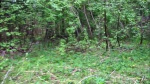 Обычный выход