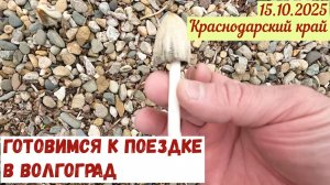 Отпуск. Готовимся к поездке в Волгоград(15.10.2025)