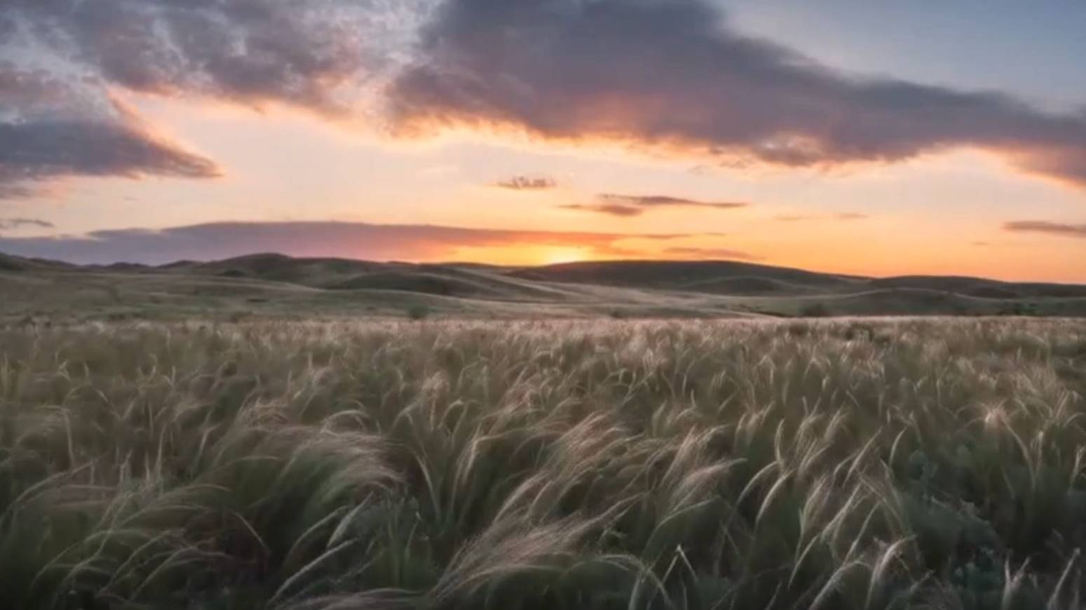 История на ночь: рецепт быстрого сна