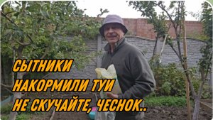 САМВЕЛ АДАМЯН, СЫТНИКИ, НАКОРМИЛИ ТУИ, НЕ СКУЧАЙТЕ, ЧЕСНОК..