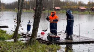 Видео отчёт с водоёма.