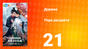Пора расцвета 21 серия