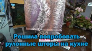Обзор покупок с маркетплейса: семена в ассортименте, рулонные шторы, наволочки, АБС пластик