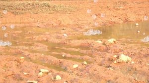 Отвалилось колесо на машине