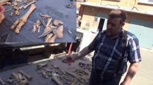 Что кушали аланы II века, жившие на территории современного Азова