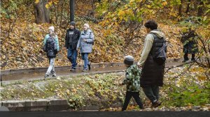 Синоптики спрогнозировали снег и температуру до +5 градусов в Москве 15 октября