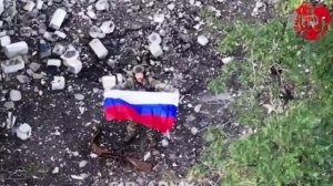 ВС РФ освободили Алексеевку в Днепропетровской области и Новопавловку в Донецкой народной республике