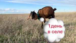 Один день многодетной семьи.