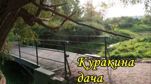 Санкт-Петербург. Парк "Куракина дача". Островок природы на месте княжеской усадьбы. Осенняя прогулка