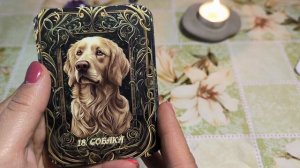 Обзор на Эльфийский оракул Ленорман авт. Елена Кортен. Отсылка к "Властелину колец" и "Хоббиту".mp4