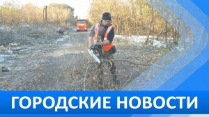Городские новости 15 октября 2025