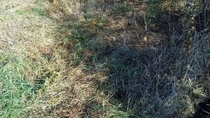 Металлокоп на старой ферме.