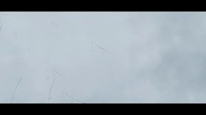 Летать так летать, я им помашу рукой, Ленинградская область, 15 октября
