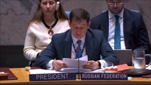 Statement by Dmitry Polyanskiy at UNSC Briefing on Libya