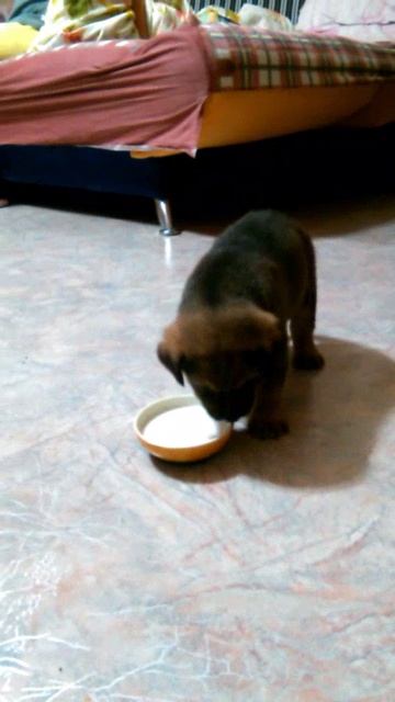 4627.mp4 смотреть онлайн