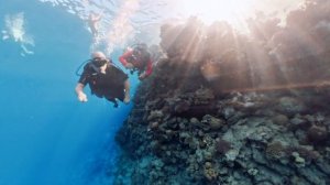 Дайвинг не по плану