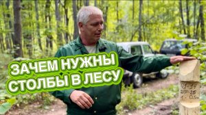 Отводы лесосек