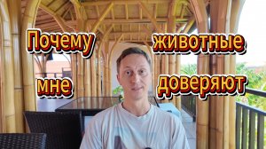 Почему животные мне доверяют | История взаимоотношений с кошкой Сиреной из Батуми