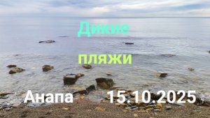 Анапа 15.10.2025 Дикие пляжи