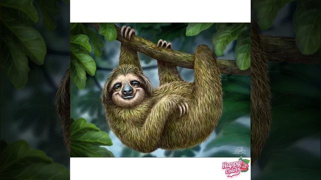 Коллекции 696-705