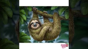 Коллекции 696-705