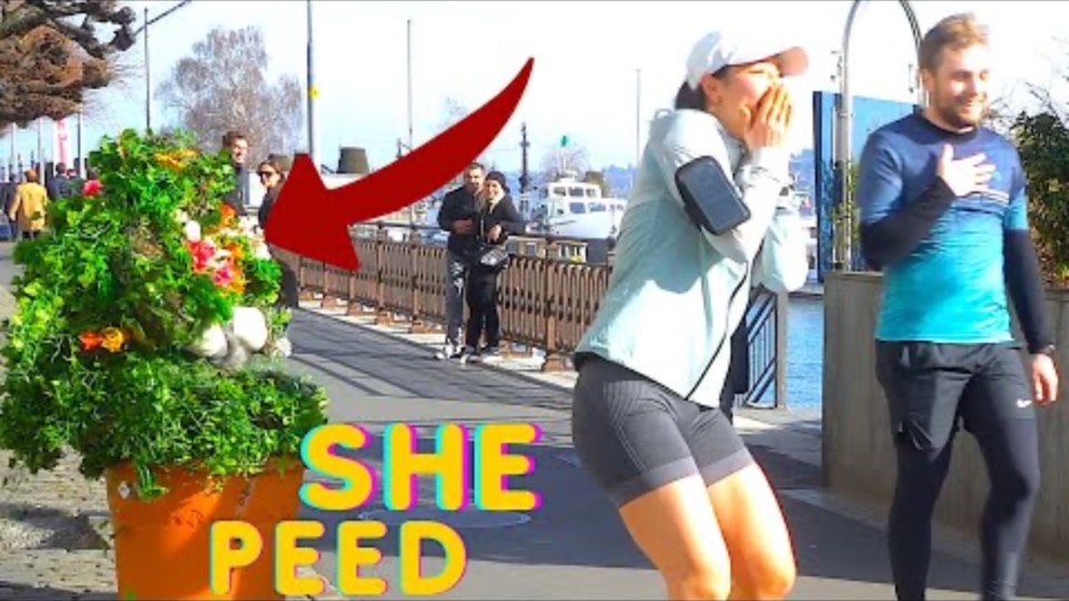 Epic bushman SWISS SCARE, YOU CAN NEVER EXPECT THIS.#FUNNY смотреть онлайн