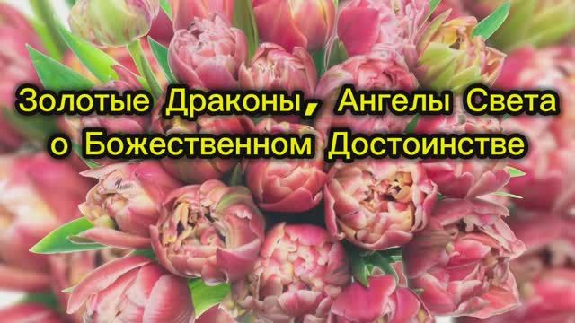 Золотые Драконы, Ангелы Света о Божественном Достоинстве 04.09.2025г (130 Послание)