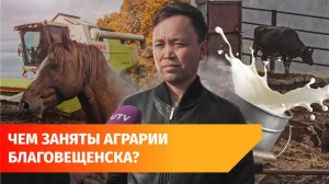 В Благовещенском районе – высокий урожай. В чём секрет успеха?