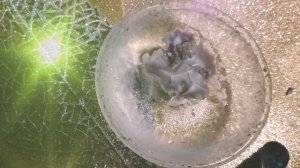 Мать Миров✨