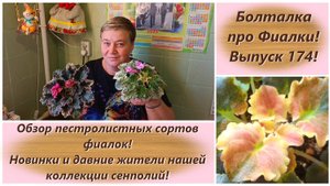 Болталка про Фиалки! Выпуск 174! Обзор пестролистных сортов фиалок!