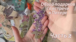 Обзор подарков со скрап встрече в Питере 🎁