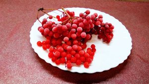 Джем из калины