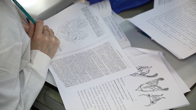 ФГБУ «ВНИИКР»: всегда готов быть полезным