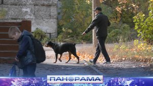 ⚡️ «Школьный двор стал общественным»: Глава ДНР поручил обеспечить безопасность школы в Макеевке