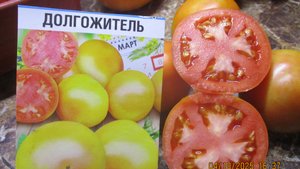 Моя новинка томат Долгожитель в середине октября еще не поспел полностью!