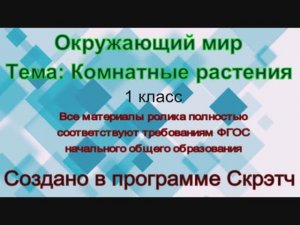 Окружающий мир Комнатные растения 1 класс