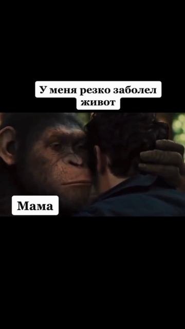 Так и есть