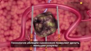 document_5427171076666853819