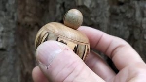 Шкатулка на дубе с загадочным дуплом