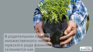 Фамилия Ачарян: происхождение, история и значение. Как правильно склонять эту фамилию?