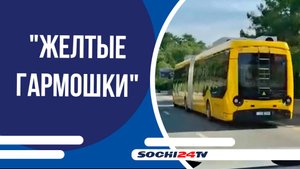 Горожане обсуждают возвращение на улицы Сочи "желтых гармошек"