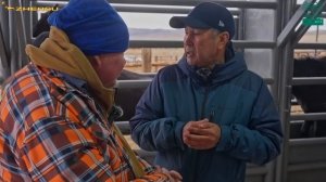 Осенняя бонитировка лошадей Казахстана. Табунное коневодство и племенная работа в степи.