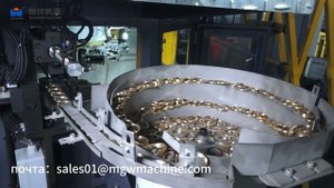 Rotary Transfer Machine for Gluing and Inserting