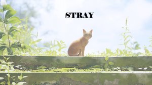 STRAY: PART 4