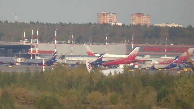 Сербский малыш и китайские толстячки в Шереметьево