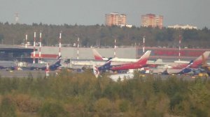 Сербский малыш и китайские толстячки в Шереметьево