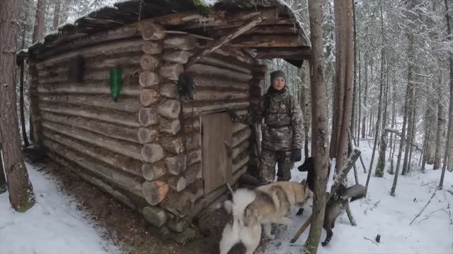Поход в лес в Избу. Посидели у костра.