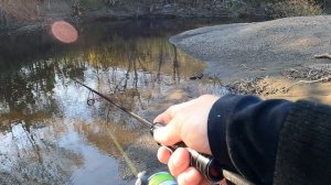 Осень 2025. Сахалин. Ловля голодной кунджи...