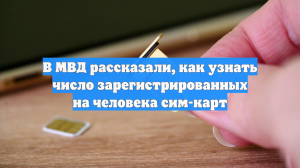 В МВД рассказали, как узнать число зарегистрированных на человека сим-карт