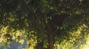 Истории из жизни Как невеста потеряла любимого за неделю до брака"" Жизненные истории / Читаем